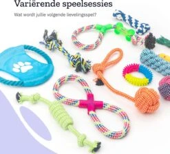 All 4 Pets Supply® Honden Speelgoed Set Geschikt Voor Puppy's T/m Middelgrote Honden - 12 Stuks - Hondenspeeltjes - Intelligentie - Touw - Flostouw - Bijtring - Bal 18 All 4 Pets Supply® Honden Speelgoed Set Geschikt Voor Puppy's T/m Middelgrote Honden - 12 Stuks - Hondenspeeltjes - Intelligentie - Touw - Flostouw - Bijtring - Bal -Merkloos Winkel 1200x1086 1