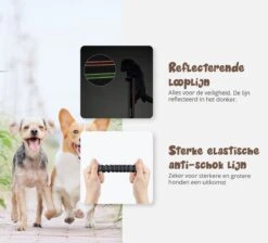 Hardloopriem Hond – Honden Riem Handsfree – Hardlopen Met Hond – 160-260 Cm Blauw - Hardloopband Hond – Halsband Hond – Hondenlijn – Leiband Hond -Merkloos Winkel 1200x1087 12