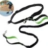 Hardloopriem Hond – Honden Riem Handsfree – Hardlopen Met Hond – 160-260 Cm Groen- Hardloopband Hond – Halsband Hond – Hondenlijn – Leiband Hond -Merkloos Winkel 1200x1087 13