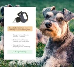Dubbele Honden Riem – Leiband Hond – Hondenlijn – Looplijn Hond – 2 Honden – 3 Meter – Tot 12kg Per Hond – Reflecterende Lijnen – Met Zaklamp – 360° Draaien – Verstelbaar - Zwart -Merkloos Winkel 1200x1087 7