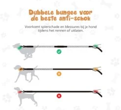 Hardloopriem Hond – Honden Riem Handsfree – Hardlopen Met Hond – 160-260 Cm Groen- Hardloopband Hond – Halsband Hond – Hondenlijn – Leiband Hond -Merkloos Winkel 1200x1093 4