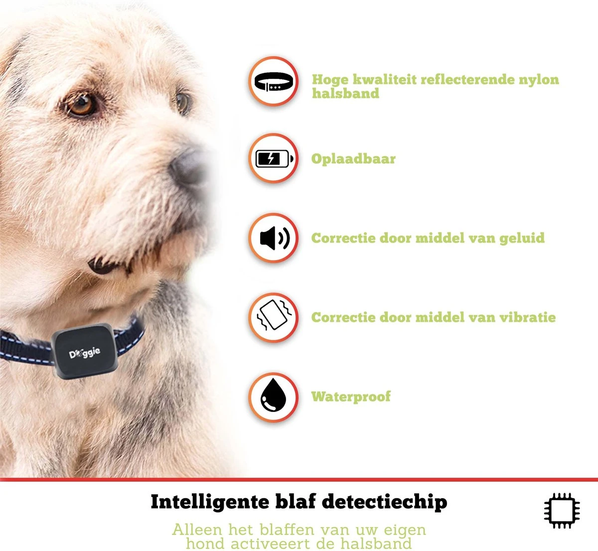 Doggie™ Anti Blafband Voor Kleine Honden - OPLAADBAAR - Vibratie én Geluid 10 Doggie™ Anti Blafband Voor Kleine Honden - OPLAADBAAR - Vibratie én Geluid - Afbeelding 8