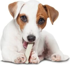 Nylabone Harde Bijters Kluif - Kip - Voor Honden Tot 20 Kg 16 Nylabone Harde Bijters Kluif - Kip - Voor Honden Tot 20 Kg -Merkloos Winkel 1200x1107 7