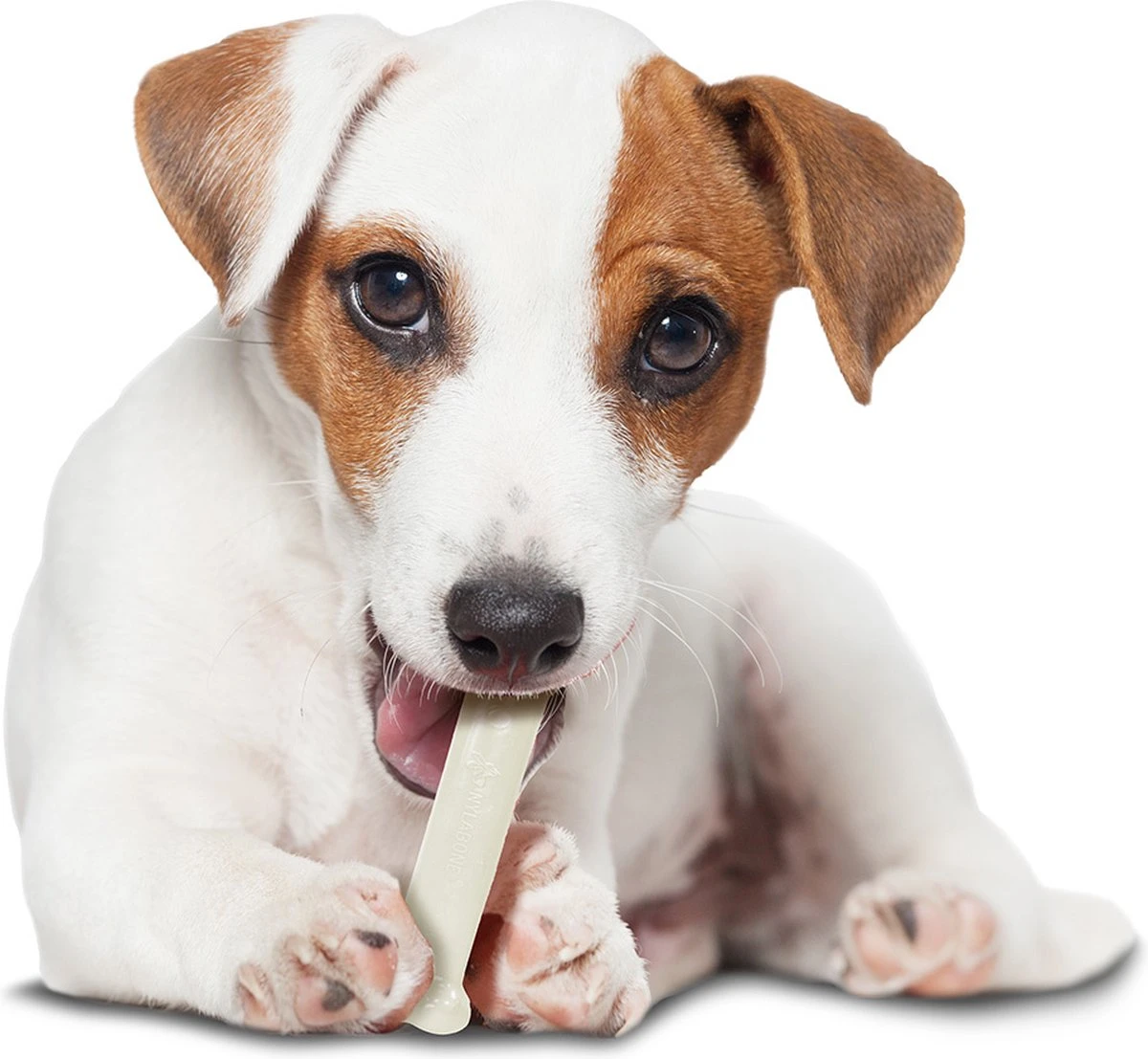 Nylabone Harde Bijters Kluif - Kip - Voor Honden Tot 20 Kg 8 Nylabone Harde Bijters Kluif - Kip - Voor Honden Tot 20 Kg - Afbeelding 6