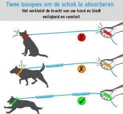Oak's First Elastische En Diervriendelijke Looplijn Met Heupriem - Hondenriem - 150cm/210cm - Grijs 12 Oak's First Elastische En Diervriendelijke Looplijn Met Heupriem - Hondenriem - 150cm/210cm - Grijs -Merkloos Winkel 1200x1114 12