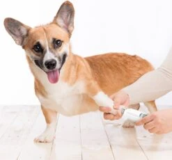 Auronic Elektrische Nagelvijl - Voor Dieren - Oplaadbaar - Draadloos - Diamant Vijlkop - Hond/Katten - Wit 18 Auronic Elektrische Nagelvijl - Voor Dieren - Oplaadbaar - Draadloos - Diamant Vijlkop - Hond/Katten - Wit -Merkloos Winkel 1200x1115 1