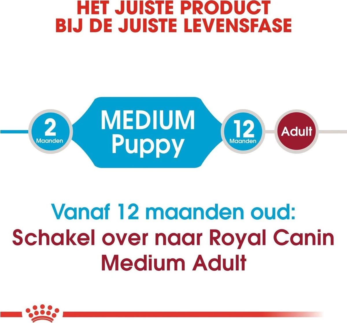 Royal Canin Medium Junior 15 KG 12 Royal Canin Medium Junior 15 KG - Afbeelding 10