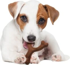 Nylabone Extreme Kauwbot Vorkbeen - Voor De Krachtigste Kauwers - Bizon Of Kipsmaak - S/M/L - Smaak: Bizon, Maat: Large -Merkloos Winkel 1200x1117 7