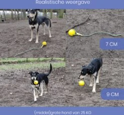 Leashr Honden Speelgoed - Bal Aan Touw - 2 Stuks - Touw - Koord - Kauwspeelgoed - Apporteer - Hond - 7 CM -Merkloos Winkel 1200x1119 2