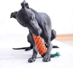 NufNuf - Hondenspeelgoed - Wortel - Stevig En Duurzaam Designspeelgoed -Merkloos Winkel 1200x1120 9