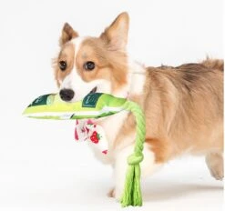 Merkloos Hondenspeelgoed - Piepspeelgoed - Trekspeeltje - Chocobruin -Merkloos Winkel 1200x1127 1