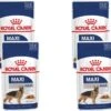 Royal Canin Shn Maxi Adult Pouch - Hondenvoer - 4 X 10 X 140 G 2 Royal Canin Shn Maxi Adult Pouch - Hondenvoer - 4 X 10 X 140 G -Merkloos Winkel 1200x1128 5
