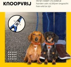 KCMultisupplies Dubbele Hondenriem Voor 2 Honden - Duo Hondenlijn Voor Hond - 120cm - Hondenleiband Riem 13 KCMultisupplies Dubbele Hondenriem Voor 2 Honden - Duo Hondenlijn Voor Hond - 120cm - Hondenleiband Riem -Merkloos Winkel 1200x1130 4
