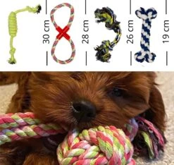 (Goedkoopste) Honden Speelgoed Set 15 Stuks Geschikt Voor Puppy's T/m Middelgrote Honden - Honden Kauw Speelgoed - 15 Stuks - Hondenspeeltjes - Intelligentie - Touw - Flostouw - Bijtring - Bal - Huisdieren Speelgoed -Merkloos Winkel 1200x1135 8