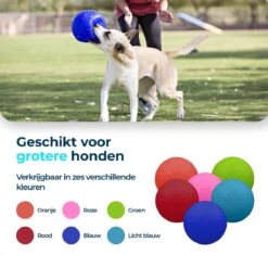 Jolly Pets Jolly Soccer Ball – Hondenspeelgoed – Hondenspeeltjes Voor Binnen En Buiten – Hondenbal Voor Honden – Hondenvoetbal – Jollyflex Stevig Kunststof – Drijvend Hondenspeeltje – Ø20cm – Licht Blauw -Merkloos Winkel 1200x1142 7