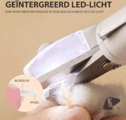 Professionele Oplaadbare LED Licht Nagelknipper, Hond, Kat, Knaagdier, Huisdieren | Dog, Cat, Nail Clipper LED Light, Rechargeable, USB Kabel | Nagelvijl - Nagelschaar Met Vijl, Opvang Van Nagels | Vergrootglas 5x | Extreem Veilig & 100% Effectief -Merkloos Winkel 1200x1143 9