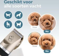 BYER Professionele Dieren Tondeuse Set - Voor Huisdieren Katten & Honden - Draadloos - Oplaadbare Pet Trimmer - Dog Tondeuze Clipper - 5 Standen & Vier Opzetkammen - Low Noise 14 BYER Professionele Dieren Tondeuse Set - Voor Huisdieren Katten & Honden - Draadloos - Oplaadbare Pet Trimmer - Dog Tondeuze Clipper - 5 Standen & Vier Opzetkammen - Low Noise -Merkloos Winkel 1200x1144 1