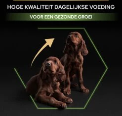 Pro Plan Healthy Start Puppy Large Athletic - Honden Droogvoer - Kip - 12 Kg -Merkloos Winkel 1200x1146 11
