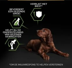 Pro Plan Healthy Start Puppy Large Athletic - Honden Droogvoer - Kip - 12 Kg -Merkloos Winkel 1200x1146 12