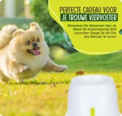 VEDIC® - Automatische Ballenwerper - Hondenspeelgoed - Ballenschieter Voor Honden 13 VEDIC® - Automatische Ballenwerper - Hondenspeelgoed - Ballenschieter Voor Honden -Merkloos Winkel 1200x1146 16