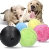 Petloverz Magic Roller Ball – Honden Speelgoed – Premium Automatische Rollende Bal