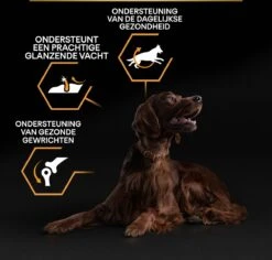 Pro Plan Everyday Nutrition Large Athletic Adult - Honden Droogvoer - Kip - 14 Kg -Merkloos Winkel 1200x1146 7