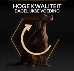 Pro Plan Everyday Nutrition Large Athletic Adult - Honden Droogvoer - Kip - 14 Kg -Merkloos Winkel 1200x1147 7