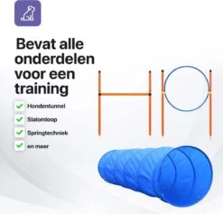 Tavaro Agility Voor De Hond - Honden Training - Hondentunnel - Springhoepel - Horde - Slalom - Honden Behendigheid Trainingsset -Merkloos Winkel 1200x1150 10