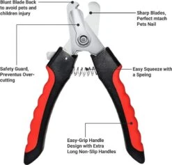 Merkloos Professionele Nagelschaar - Dieren Nagelschaar - Rood & Zwart - Honden Nagelknipper - Hondennagels - Honden Knip Schaar - Honden Knipsch 11 Merkloos Professionele Nagelschaar - Dieren Nagelschaar - Rood & Zwart - Honden Nagelknipper - Hondennagels - Honden Knip Schaar - Honden Knipsch -Merkloos Winkel 1200x1153 7