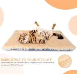 Nobleza Fluffy Benchkussen - Dierenkussen - Hondenkussen - Kattenkussen - Benchmat - Dierenmat - Hondenmat - Kattenmat - Crème - Maat L -Merkloos Winkel 1200x1156 2