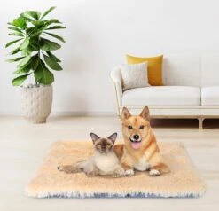 Nobleza Fluffy Benchkussen - Dierenkussen - Hondenkussen - Kattenkussen - Benchmat - Dierenmat - Hondenmat - Kattenmat - Crème - Maat L -Merkloos Winkel 1200x1156 3