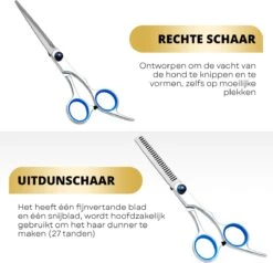 BeautyFit - 16-delig Hondentondeuse Set - Professionele Honden Trimset - Dieren Tondeuse Voor Dikke Vacht - Meest Complete Set - Inclusief 4 Opzetkammen - Hondenschaar - Mist Verstuiver - Handschoen Borstel - Nagelknipper -Merkloos Winkel 1200x1157 2