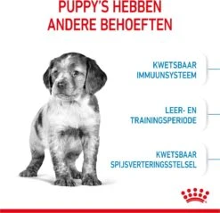 Royal Canin Medium Junior 15 KG 25 Royal Canin Medium Junior 15 KG -Merkloos Winkel 1200x1159 11