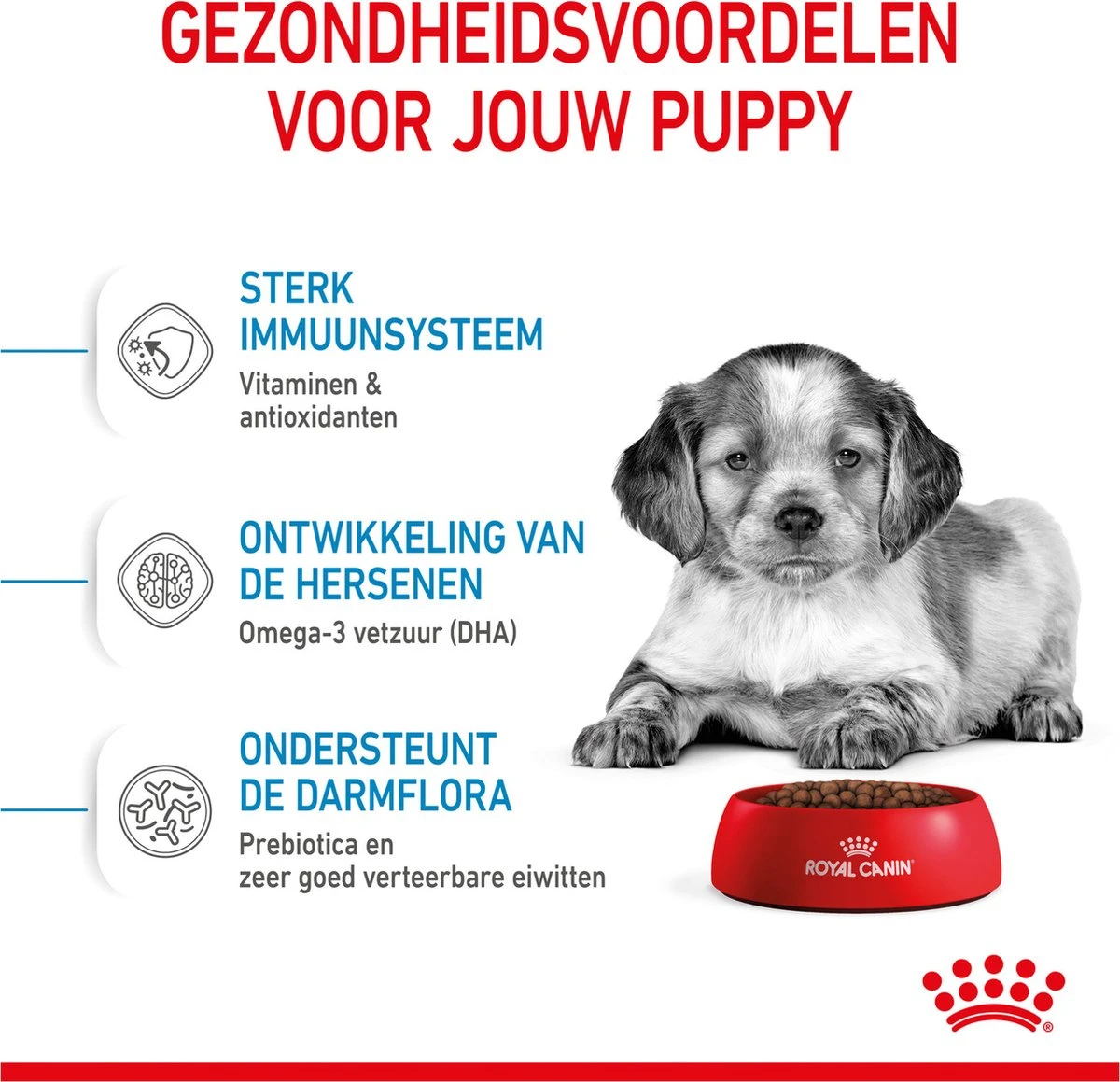 Royal Canin Medium Junior 15 KG 8 Royal Canin Medium Junior 15 KG - Afbeelding 6