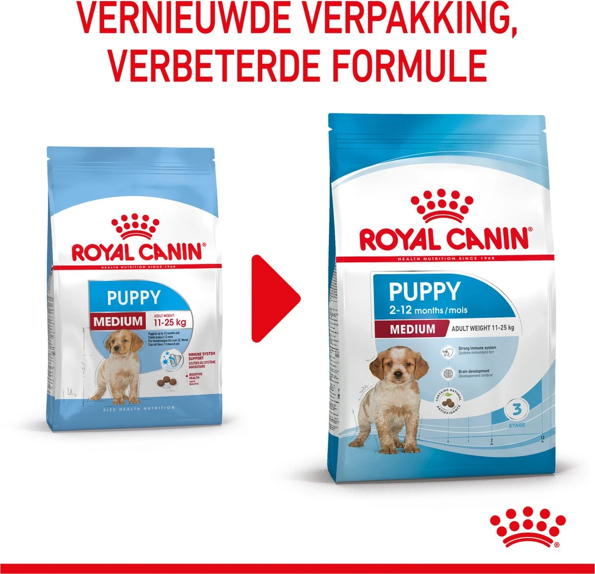 Royal Canin Medium Junior 15 KG 18 Royal Canin Medium Junior 15 KG - Afbeelding 16
