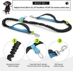 BOTC Looplijn Hond Met Heupriem Voor Hardlopen - Met Drinkbak Hond - Hondenriem - 1 Roll Poep Zakjes - Zwart 21 BOTC Looplijn Hond Met Heupriem Voor Hardlopen - Met Drinkbak Hond - Hondenriem - 1 Roll Poep Zakjes - Zwart -Merkloos Winkel 1200x1159 24