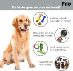 Filo Honden Speelgoed Set 14 Stuks - Hondenspeeltjes Knuffel - Hondenbal - Flostouw - Bot - Frisbee - Hondentouw - Hondenspeelgoed Intelligentie - Kauwspeelgoed Hond En Puppy - Bijtspeelgoed Hondenknuffel - Hondenspeeltje Met Piep 18 Filo Honden Speelgoed Set 14 Stuks - Hondenspeeltjes Knuffel - Hondenbal - Flostouw - Bot - Frisbee - Hondentouw - Hondenspeelgoed Intelligentie - Kauwspeelgoed Hond En Puppy - Bijtspeelgoed Hondenknuffel - Hondenspeeltje Met Piep -Merkloos Winkel 1200x1160 9