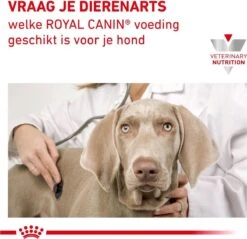 Royal Canin Hypoallergenic - Hondenvoer - 14 Kg 25 Royal Canin Hypoallergenic - Hondenvoer - 14 Kg -Merkloos Winkel 1200x1161 6