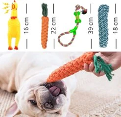 (Goedkoopste) Honden Speelgoed Set 15 Stuks Geschikt Voor Puppy's T/m Middelgrote Honden - Honden Kauw Speelgoed - 15 Stuks - Hondenspeeltjes - Intelligentie - Touw - Flostouw - Bijtring - Bal - Huisdieren Speelgoed -Merkloos Winkel 1200x1165 10