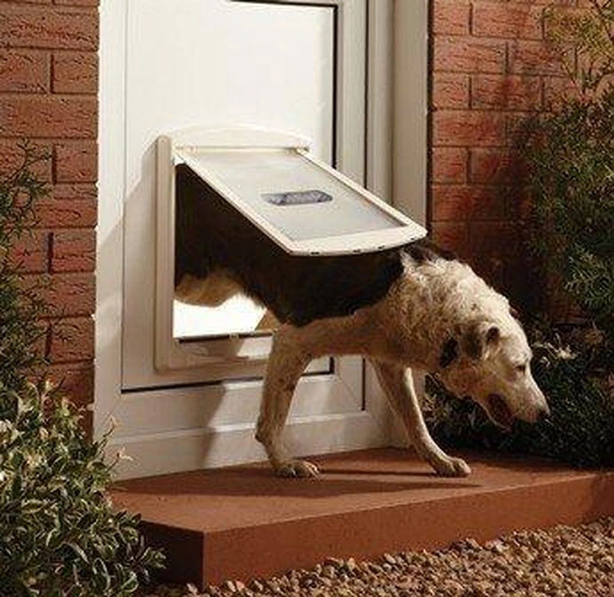 Staywell 777 Hondenluik - Large - Zilver/Tranparant 10 Staywell 777 Hondenluik - Large - Zilver/Tranparant - Afbeelding 8