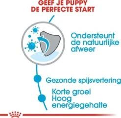 Royal Canin Medium Junior 15 KG 26 Royal Canin Medium Junior 15 KG -Merkloos Winkel 1200x1169 5