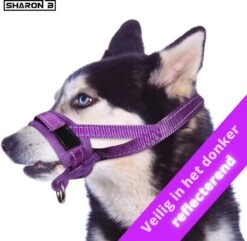 Sharon B Muilkorf Paars Maat M - Fleece - Wasbaar - Reflecterend -Merkloos Winkel 1200x1173 5