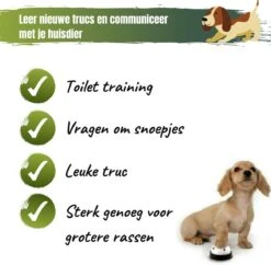 Merkloos Hondenbel Speeltje Voor Je Hond - Rood Zwart - Bel Voor Honden - Hondentraining - Honden - Training - Trainen - Hondenbel - Bel - Belletje - Hondenspeelgoed - Speeltje - Speelgoed - Puppytrainig - Puppie - Puppy - Spelen 9 Merkloos Hondenbel Speeltje Voor Je Hond - Rood Zwart - Bel Voor Honden - Hondentraining - Honden - Training - Trainen - Hondenbel - Bel - Belletje - Hondenspeelgoed - Speeltje - Speelgoed - Puppytrainig - Puppie - Puppy - Spelen -Merkloos Winkel 1200x1174 11