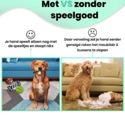 Petloverz – Honden Speelgoed Set – Honden Speeltjes – Knuffel - Speelgoed – Intelligentie – 15 Speeltjes 14 Petloverz – Honden Speelgoed Set – Honden Speeltjes – Knuffel - Speelgoed – Intelligentie – 15 Speeltjes -Merkloos Winkel 1200x1177 6