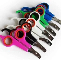 Doodadeals® | Nagelschaar Kat | Nagelschaar Hond | Nagelschaar Konijn | Nagelschaar Cavia | Multi Color | 1 Stuk 9 Doodadeals® | Nagelschaar Kat | Nagelschaar Hond | Nagelschaar Konijn | Nagelschaar Cavia | Multi Color | 1 Stuk -Merkloos Winkel 1200x1178 2