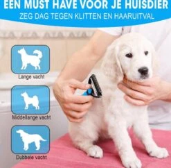 Professionele Ondervacht Kam Voor Hond En Kat S – Hondenborstel – Kattenborstel - Hondenkam –Anti Klit - Haarverwijderaar Voor Huisdieren - Pijnloos - Huisdiervriendelijk – Klittenkam - Voorkomt Haaruitval - Kleine Variant- Black Friday - Sinterklaas 10 Professionele Ondervacht Kam Voor Hond En Kat S – Hondenborstel – Kattenborstel - Hondenkam –Anti Klit - Haarverwijderaar Voor Huisdieren - Pijnloos - Huisdiervriendelijk – Klittenkam - Voorkomt Haaruitval - Kleine Variant- Black Friday - Sinterklaas -Merkloos Winkel 1200x1178 4
