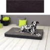 Sun Garden Buddy Orthopedisch Hondenkussen 120x72x10cm Antraciet -Merkloos Winkel 1200x1178 7