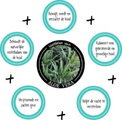 Greenfields Vacht Verzorging Set Voor Honden Shampoo, Conditioner & Droogshampoo -Merkloos Winkel 1200x1182 1