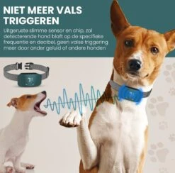 Salvano Anti Blafband - Blafband Voor Honden - Opvoedingshalsbanden - Voor Kleine En Grote Honden - Anti Blafband Zonder Schok- Oplaadbaar - Anti Blaf Apparaat - Blafband - Diervriendelijk -Merkloos Winkel 1200x1183 2