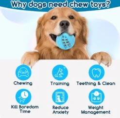 Nobleza Honden Speelgoed - Hondenspeeltjes - Hondenbal - Hondenspeelgoed - Honden Bal - Snackbal Hond - Kauwspeelgoed - Blauw - 8 Cm 16 Nobleza Honden Speelgoed - Hondenspeeltjes - Hondenbal - Hondenspeelgoed - Honden Bal - Snackbal Hond - Kauwspeelgoed - Blauw - 8 Cm -Merkloos Winkel 1200x1183 5